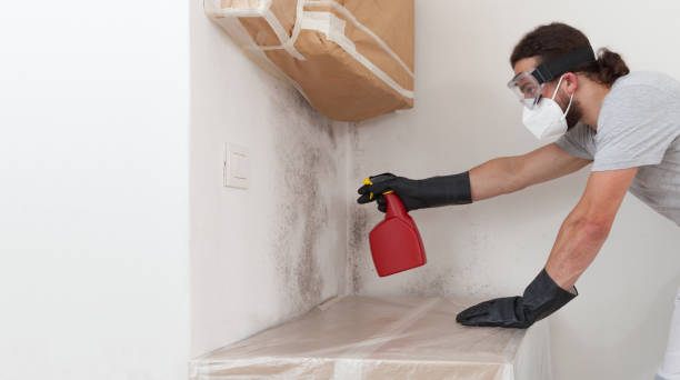 Professional Basement Mold Remediation technician working in Capron, VA