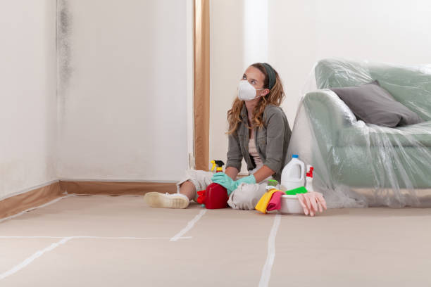 Reliable Basement Mold Remediation contractor in Capron, VA by 24 Hour Mold Removal
